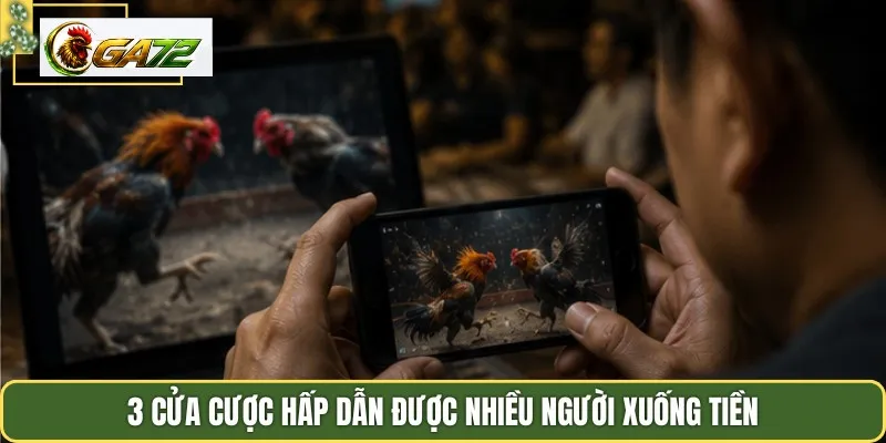 3 cửa cược hấp dẫn được nhiều người xuống tiền