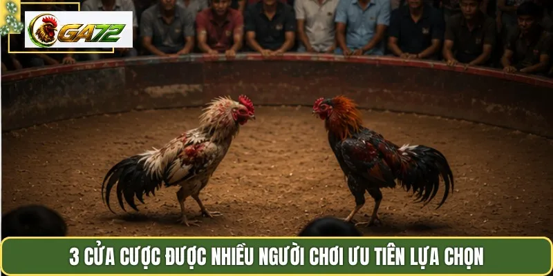 3 cửa cược phổ biến được nhiều người lựa chọn