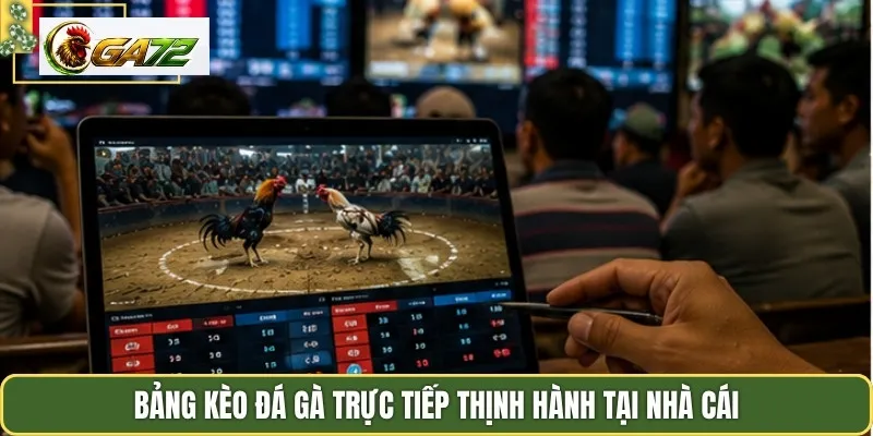 Bảng kèo đá gà trực tiếp thịnh hành tại nhà cái