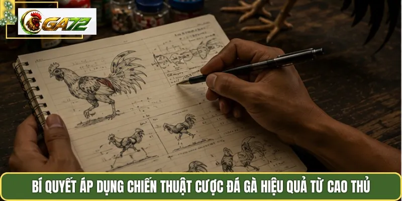 Bí quyết áp dụng chiến thuật cược đá gà hiệu quả từ cao thủ