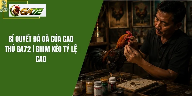 Bí Quyết Đá Gà Của Cao Thủ GA72 | Ghim Kèo Tỷ Lệ Cao