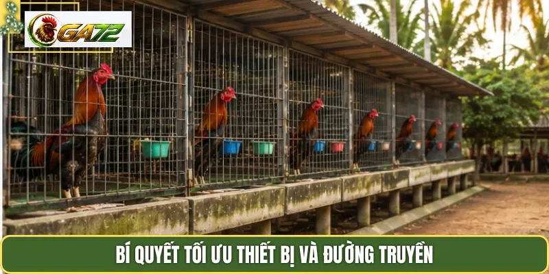 Bí quyết tối ưu thiết bị và đường truyền