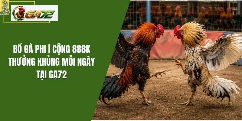 Bồ Gà Phi | Cộng 888K Thưởng Khủng Mỗi Ngày Tại GA72