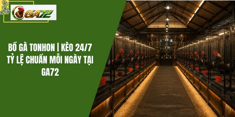 Bồ Gà Tonhon | Kèo 24/7 Tỷ Lệ Chuẩn Mỗi Ngày Tại GA72