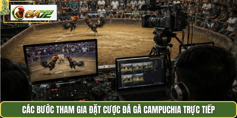 Các bước tham gia đặt cược đá gà Campuchia trực tiếp