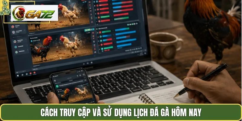 Cách truy cập và sử dụng lịch đá gà hôm nay