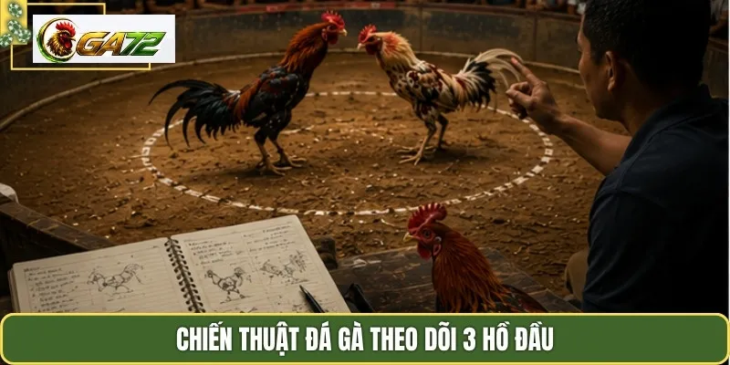 Chiến thuật đá gà theo dõi 3 hồ đầu