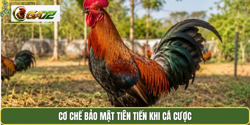Cơ chế bảo mật tiên tiến khi cá cược