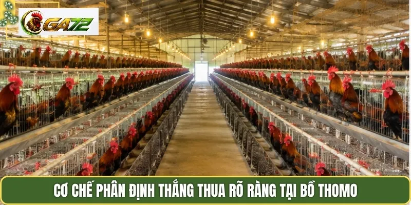 Cơ chế phân định thắng thua rõ ràng tại bồ thomo