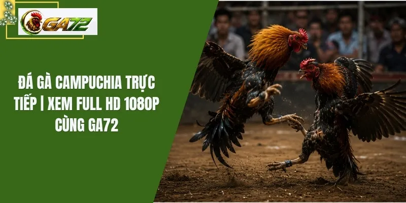 Đá Gà Campuchia Trực Tiếp | Xem Full HD 1080P Cùng GA72