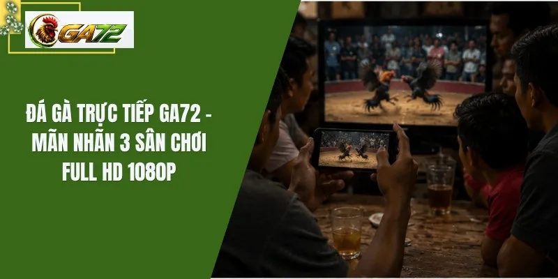 Đá Gà Trực Tiếp GA72 - Mãn Nhãn 3 Sân Chơi Full HD 1080p