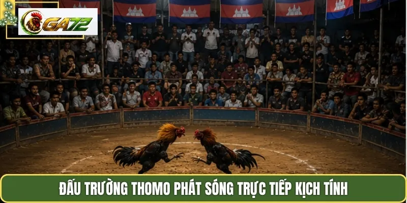 Đấu trường Thomo phát sóng trực tiếp kịch tính