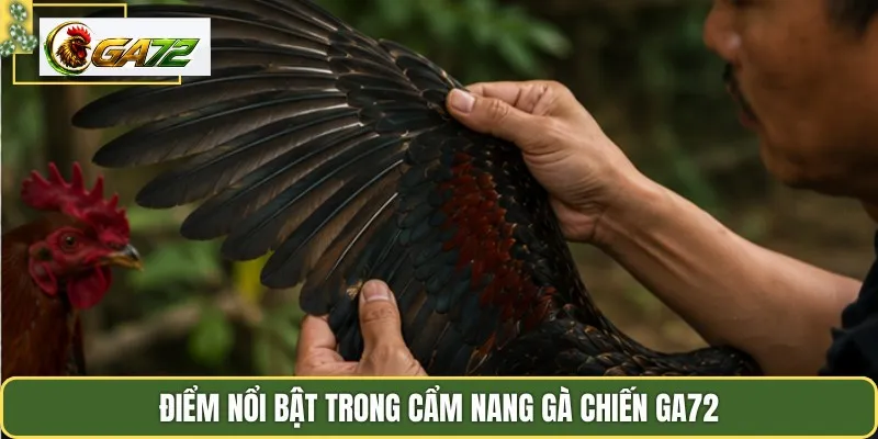 Điểm nổi bật trong cẩm nang gà chiến Ga72