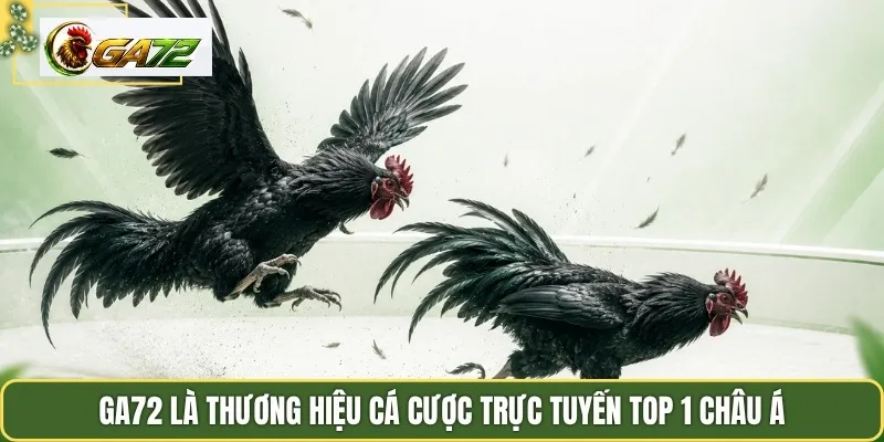 Ga72 là thương hiệu cá cược trực tuyến top 1 Châu Á