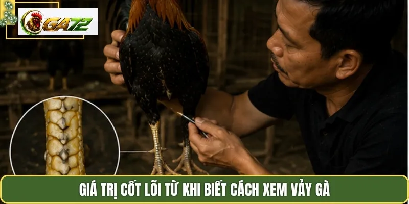 Giá trị cốt lõi từ khi biết cách xem vảy gà