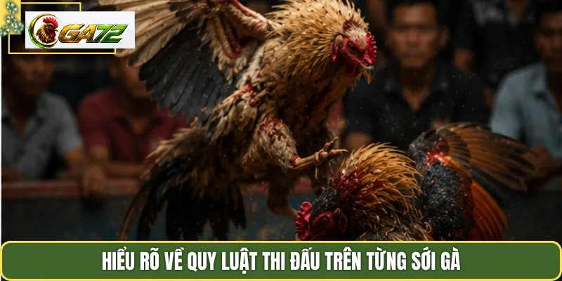 Hiểu rõ về quy luật thi đấu trên từng sới gà
