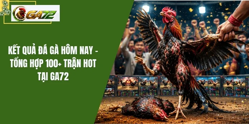 Kết Quả Đá Gà Hôm Nay - Tổng Hợp 100+ Trận Hot Tại GA72