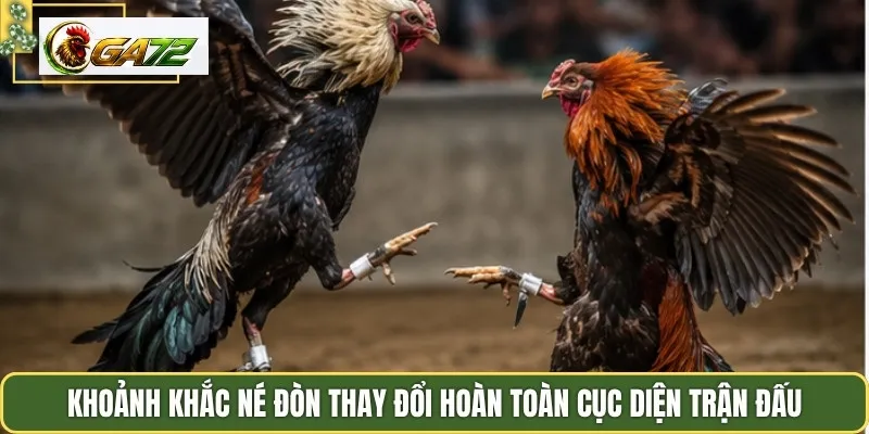 Khoảnh khắc né đòn thay đổi hoàn toàn cục diện trận đấu
