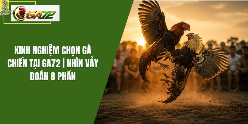 Kinh Nghiệm Chọn Gà Chiến Tại GA72 | Nhìn Vảy Đoán 8 Phần