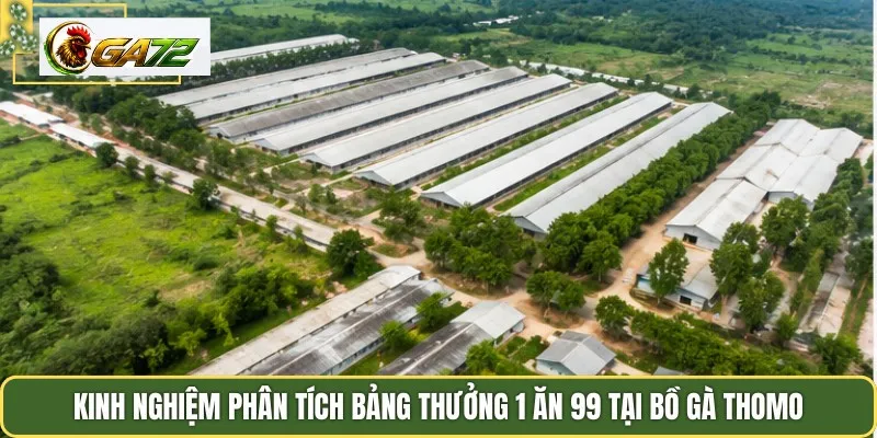 Kinh nghiệm phân tích bảng thưởng 1 ăn 99 tại bồ gà Thomo