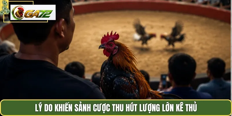 Lý do khiến sảnh cược thu hút lượng lớn kê thủ