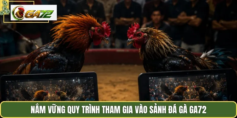 Nắm vững quy trình tham gia vào sảnh đá gà GA72