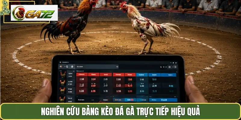 Nghiên cứu bảng kèo đá gà trực tiếp hiệu quả
