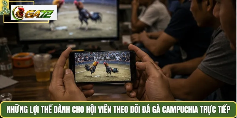 Những lợi thế dành cho hội viên theo dõi đá gà Campuchia trực tiếp