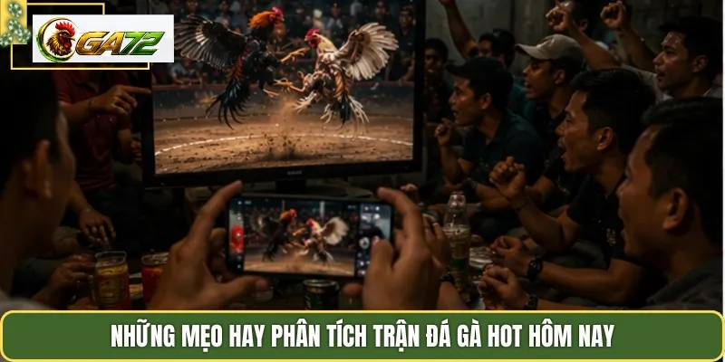Những mẹo hay phân tích trận đá gà hot hôm nay
