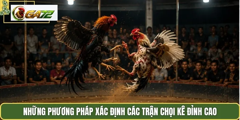 Những phương pháp xác định các trận chọi kê đỉnh cao