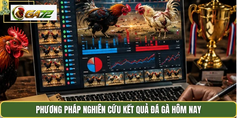 Phương pháp nghiên cứu kết quả đá gà hôm nay
