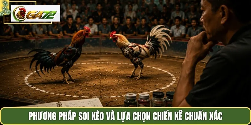 Phương pháp soi kèo và lựa chọn chiến kê chuẩn xác