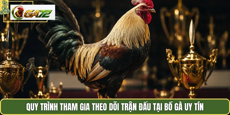 Quy trình tham gia theo dõi trận đấu tại bồ gà uy tín