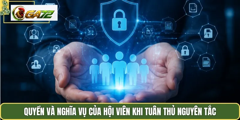 Quyền và nghĩa vụ của hội viên khi tuân thủ nguyên tắc