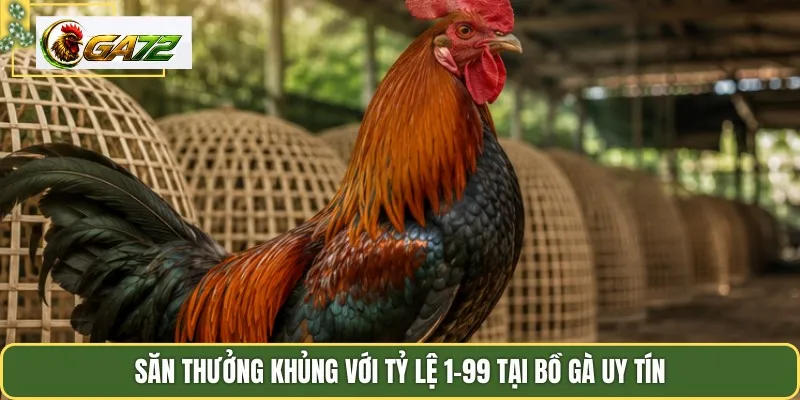 Săn thưởng khủng với tỷ lệ 1-99 tại bồ gà uy tín
