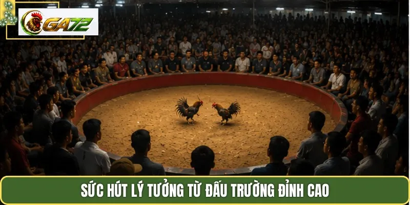Sức hút lý tưởng từ đấu trường đỉnh cao