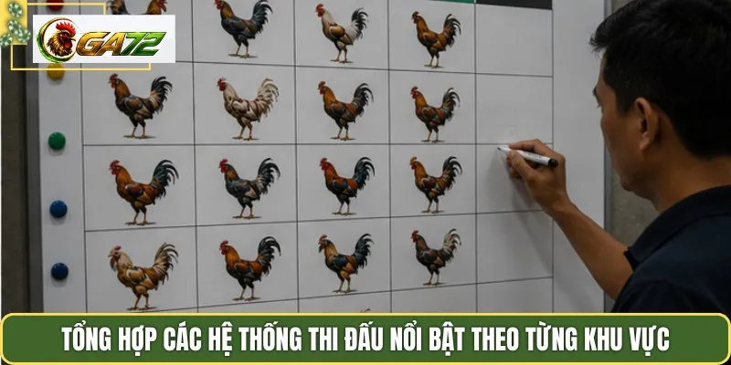 Tổng hợp các hệ thống thi đấu nổi bật theo từng khu vực