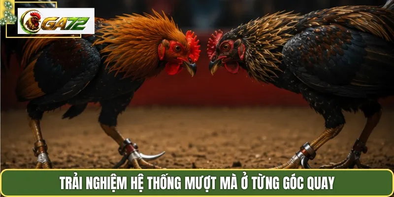 Trải nghiệm hệ thống mượt mà ở từng góc quay