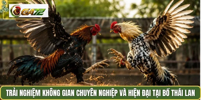 Trải nghiệm không gian chuyên nghiệp và hiện đại tại bồ Thái Lan