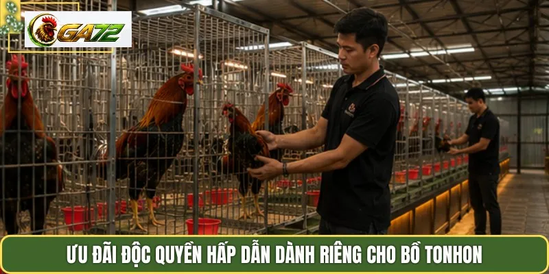 Ưu đãi độc quyền hấp dẫn dành riêng cho bồ tonhon