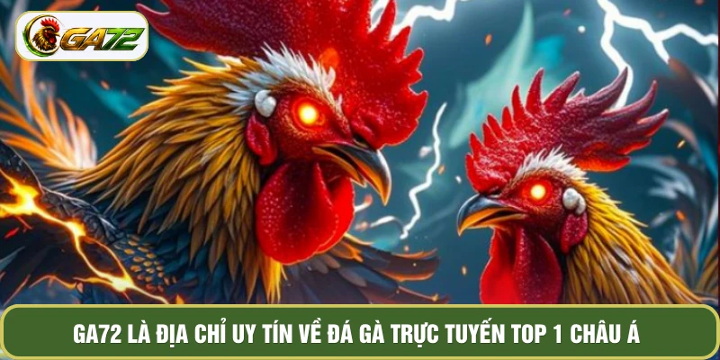 GA72 là địa chỉ uy tín về đá gà trực tuyến top 1 Châu Á