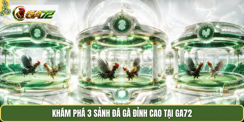 Khám phá 3 sảnh đá gà đỉnh cao tại Ga72