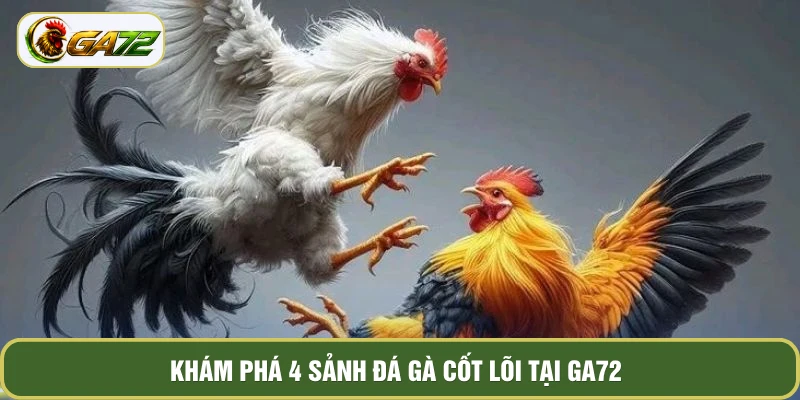 Khám phá 4 sảnh đá gà cốt lõi tại Ga72